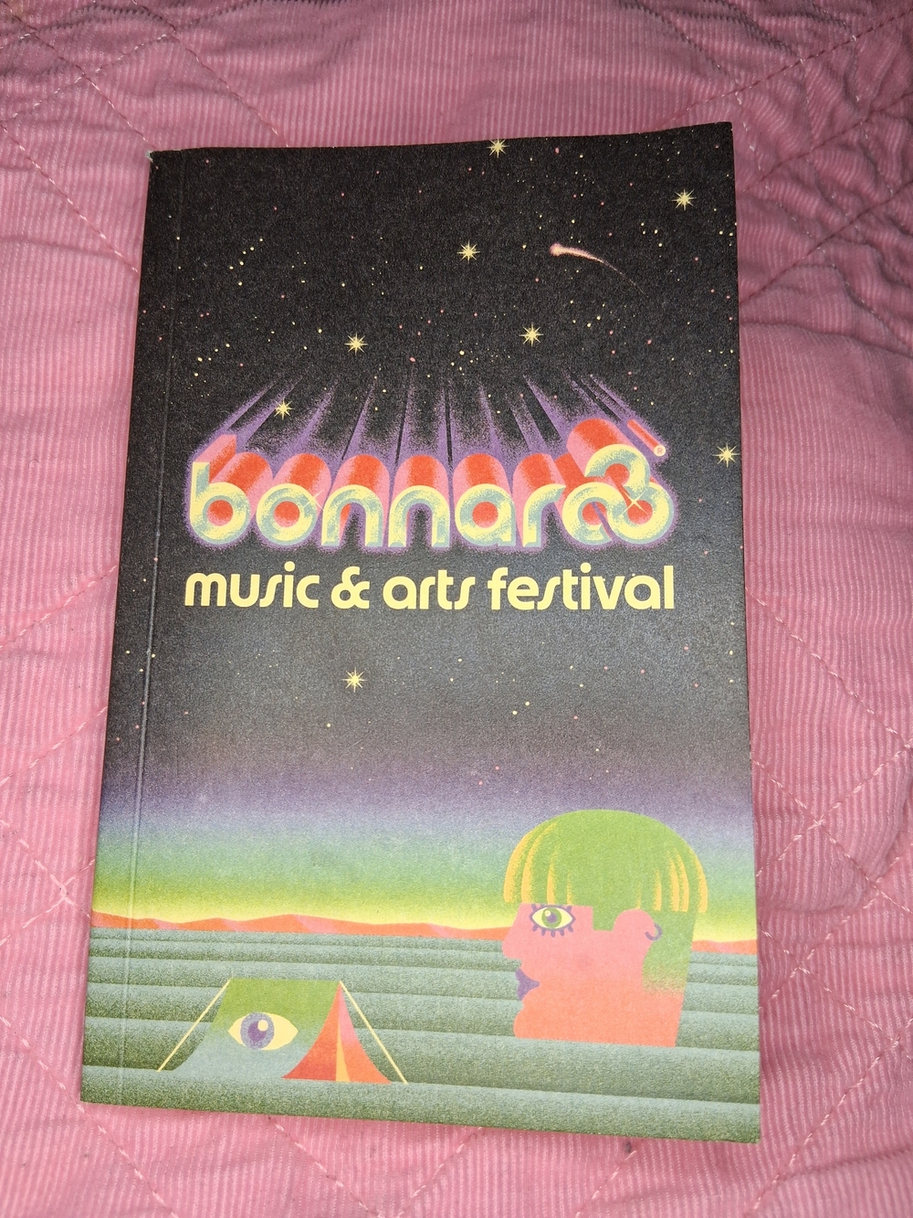 Bonnaroo Music & Arts Festival Graphic Covered Personal Festival Journal
